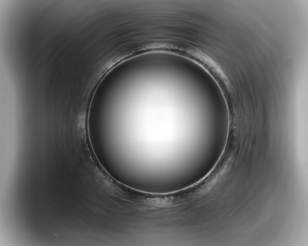 X0000098080937200804110940