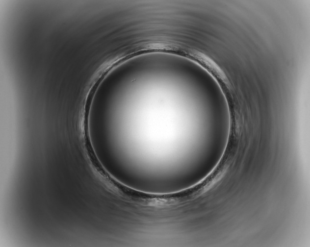 X0000098080938200804110940