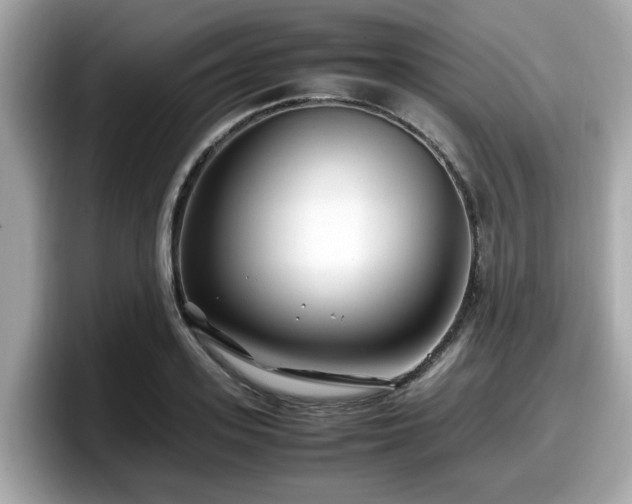 X0000098080939200804110940
