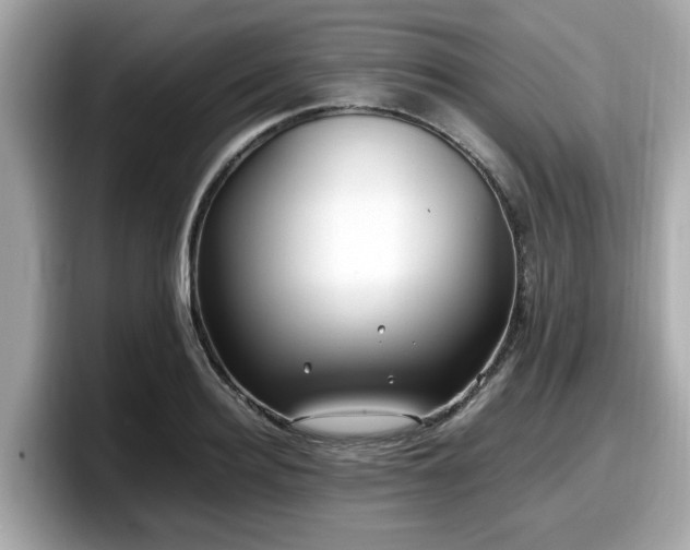 X0000098080940200804110940