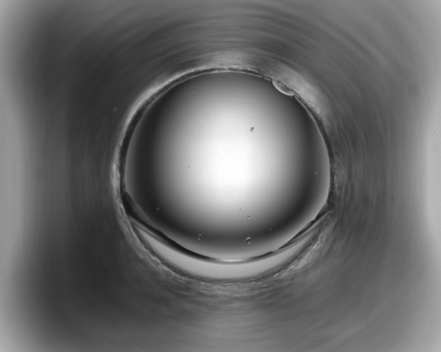 X0000098080944200804110940