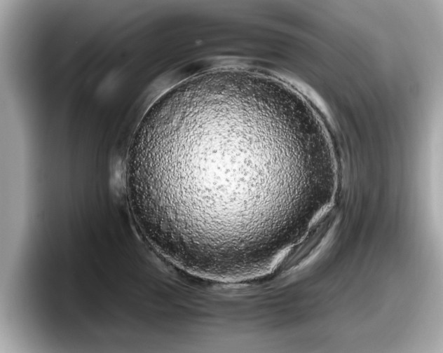 X0000098080953200804110940