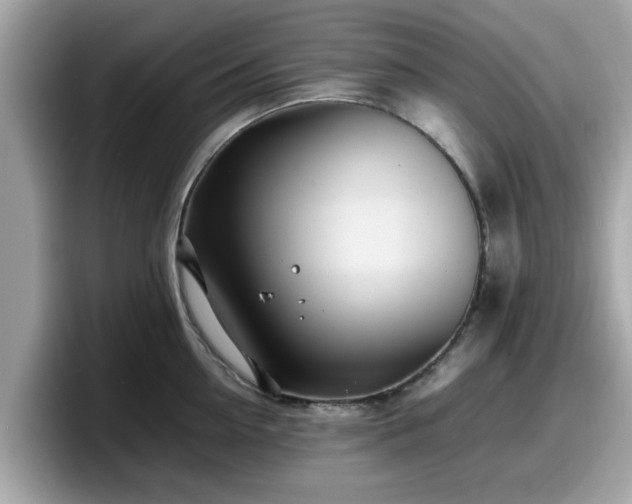 X0000098080954200804110940