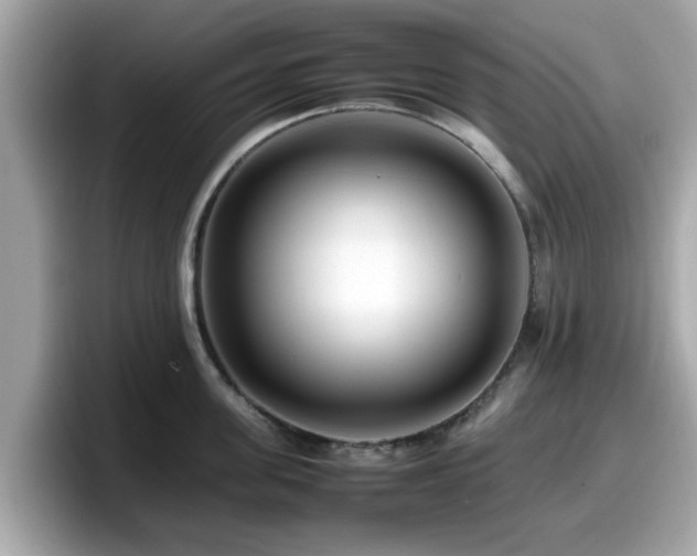 X0000098080955200804110940