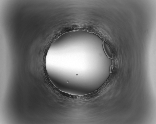 X0000098080961200804110939