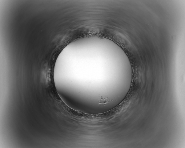 X0000098080962200804110939