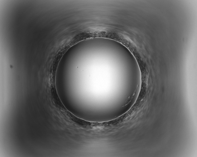 X0000098080965200804110939