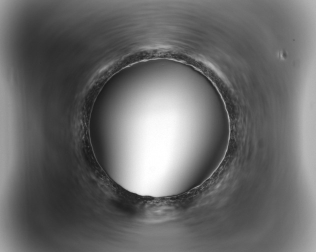 X0000098080967200804110939