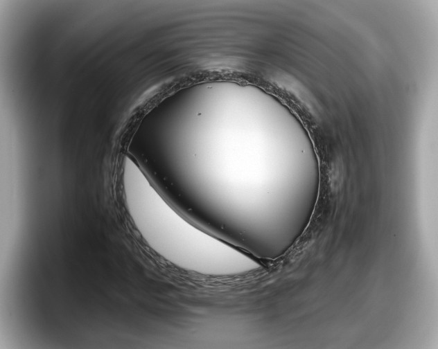 X0000098080968200804110939