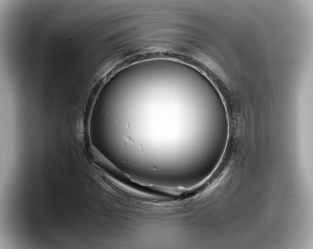 X0000098080969200804110939