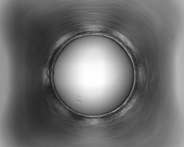 X0000098080970200804110939
