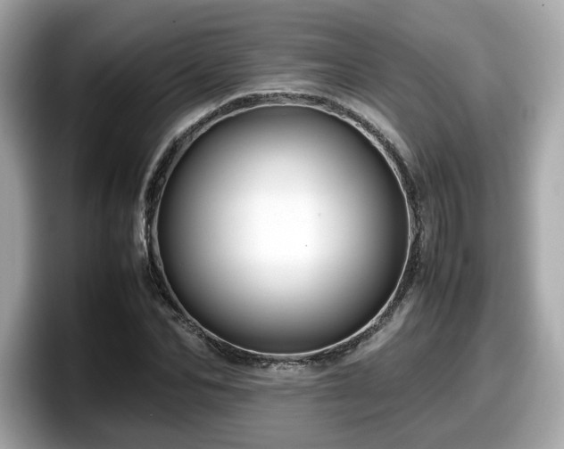 X0000098080974200804110939