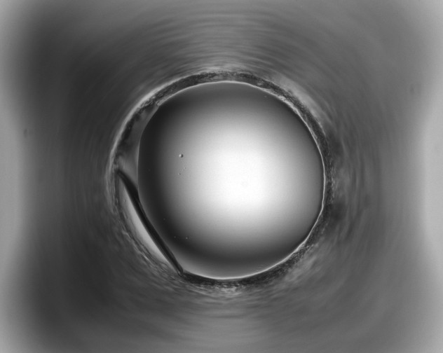 X0000098080975200804110939