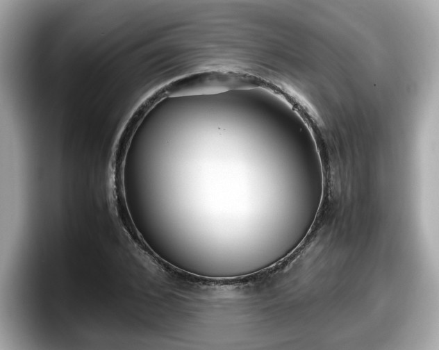 X0000098080976200804110939