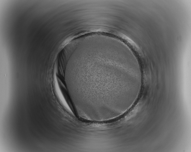 X0000098080977200804110939