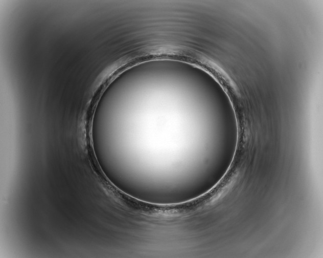 X0000098080978200804110939