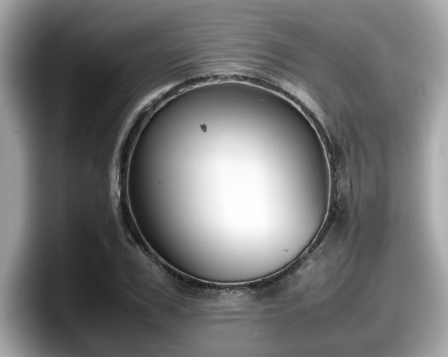 X0000098080979200804110939