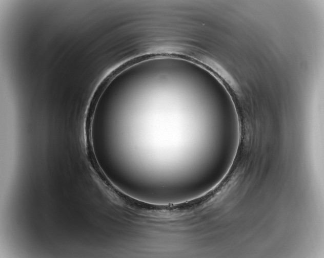 X0000098080980200804110939