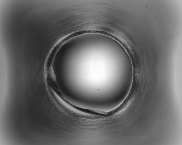 X0000098080981200804110939