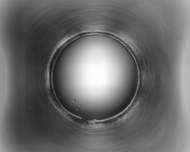 X0000098080982200804110939