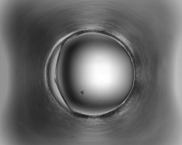 X0000098080983200804110939