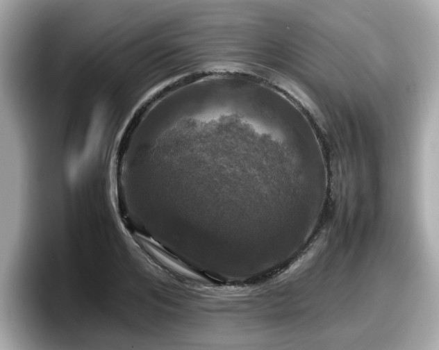 X0000098080984200804110939