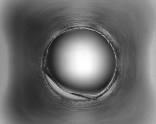 X0000098080985200804110939