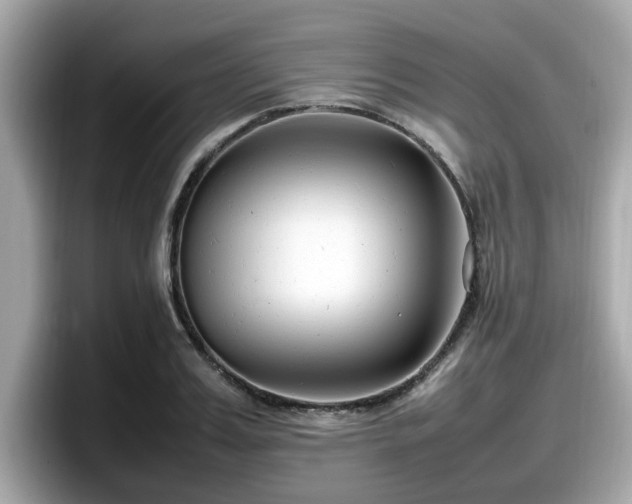 X0000098080987200804110939