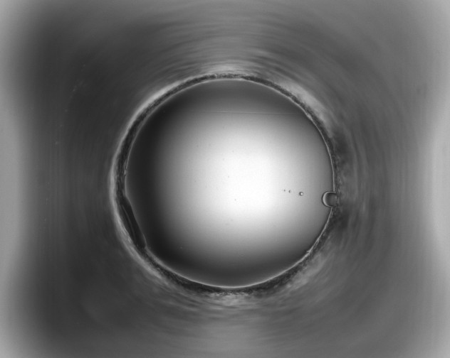 X0000098080991200804110939
