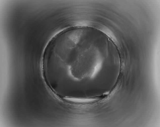 X0000098080992200804110939