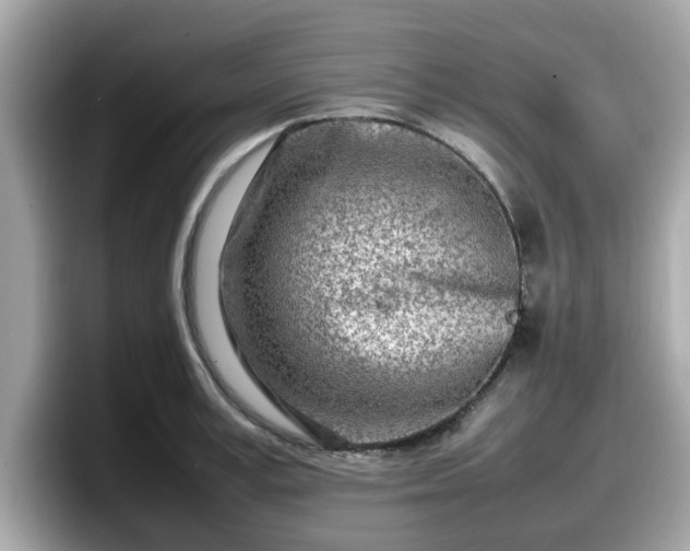 X0000098080995200804110939
