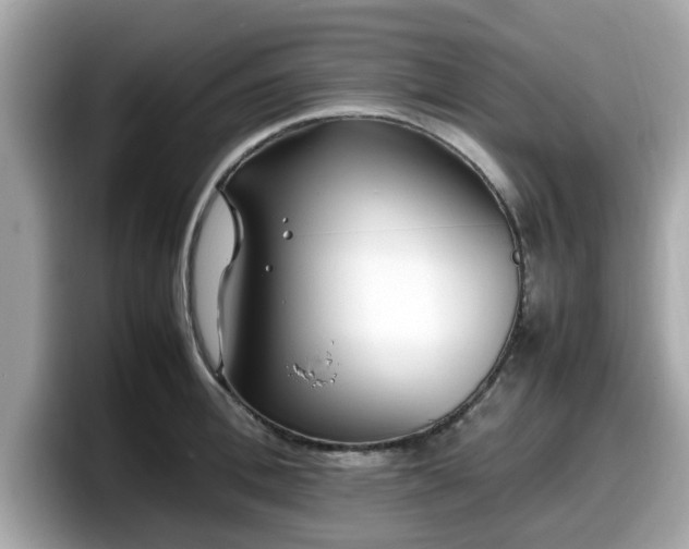 X0000098080996200804110939