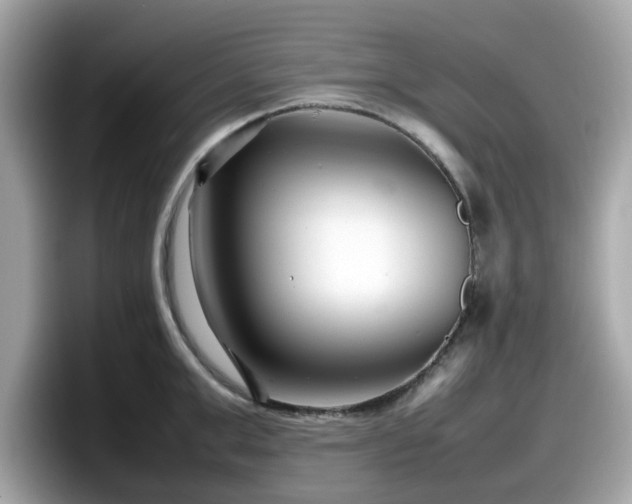 X0000098080999200804110939