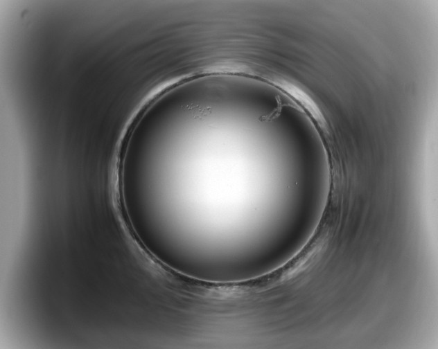X0000098081000200804110939