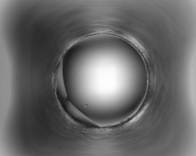 X0000098081001200804110939