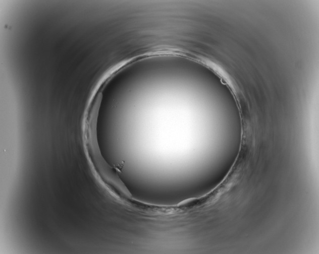 X0000098081003200804110939