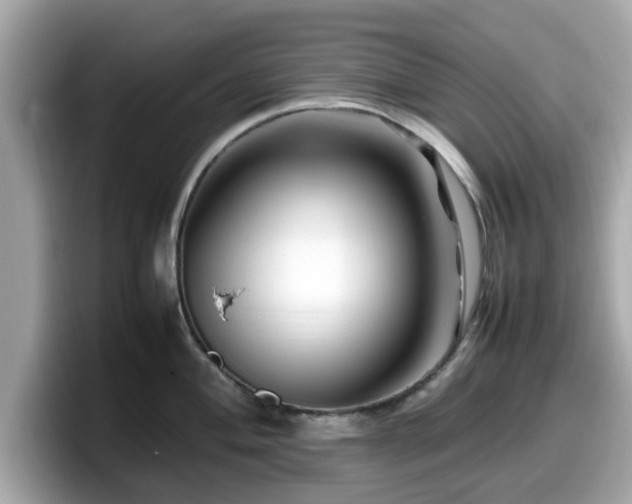 X0000098081004200804110939