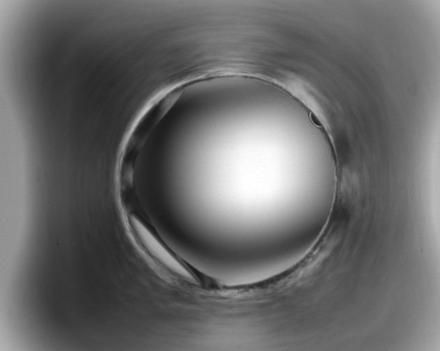 X0000098081005200804110939