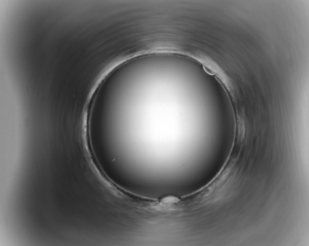 X0000098081006200804110939