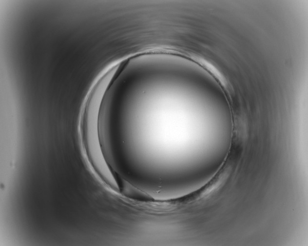 X0000098081007200804110939