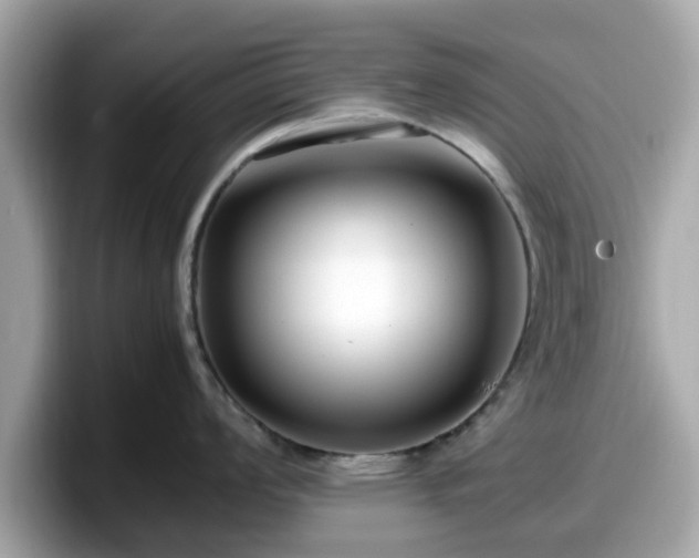 X0000098081008200804110939