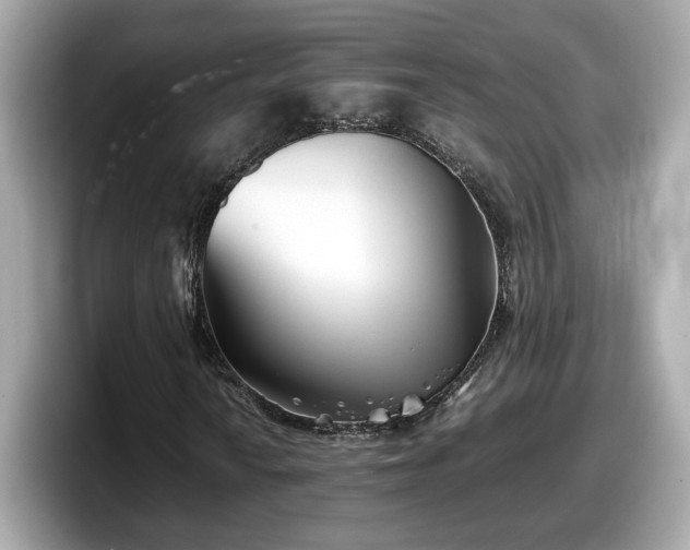 X0000098081010200804110938