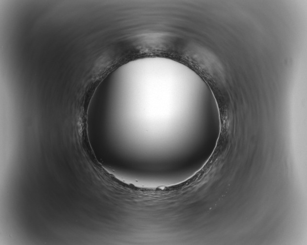 X0000098081012200804110938