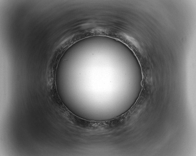 X0000098081015200804110938