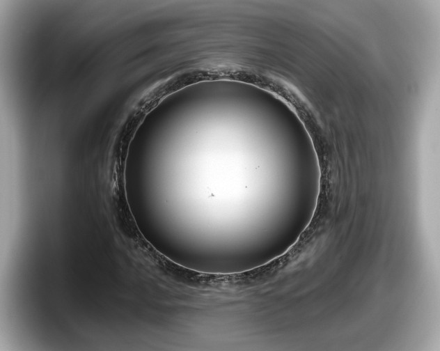 X0000098081016200804110938