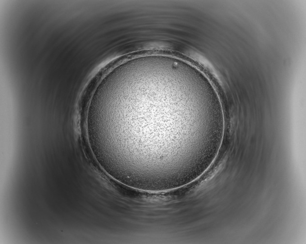 X0000098081019200804110938