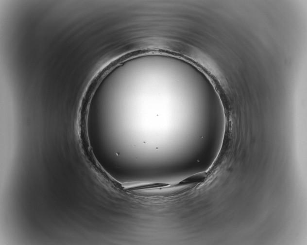 X0000098081020200804110938