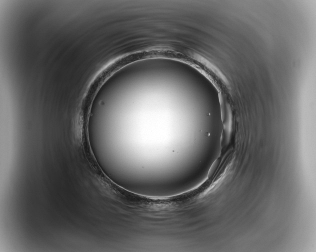 X0000098081021200804110938