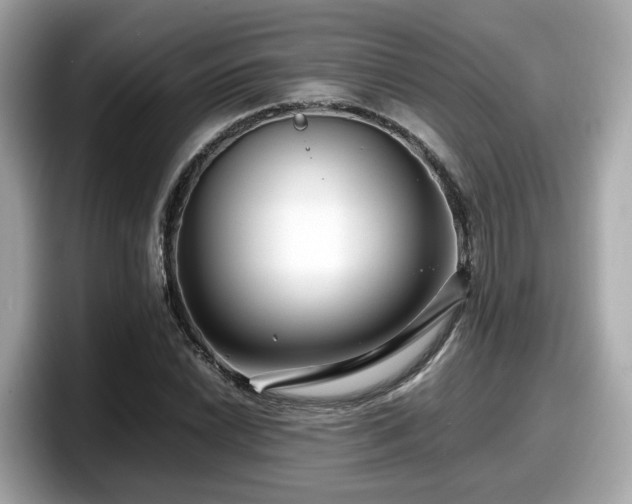 X0000098081022200804110938