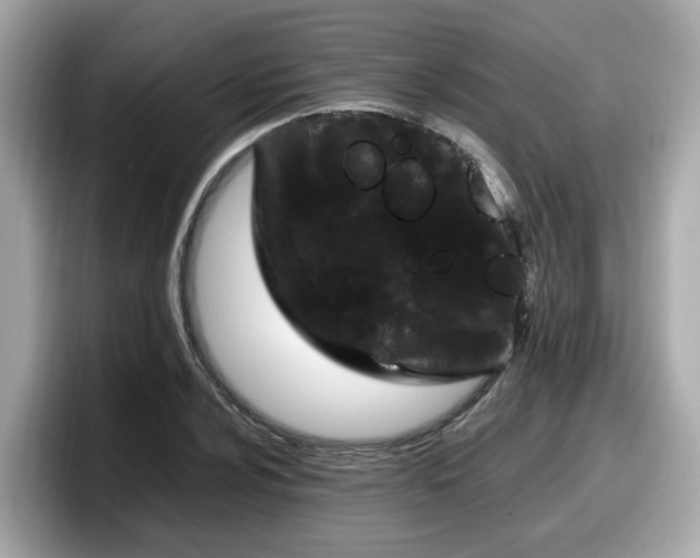 X0000098081024200804110938